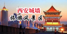 779699cme中国陕西-西安城墙旅游风景区