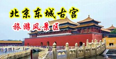 美女操逼无遮掩免费下载中国北京-东城古宫旅游风景区